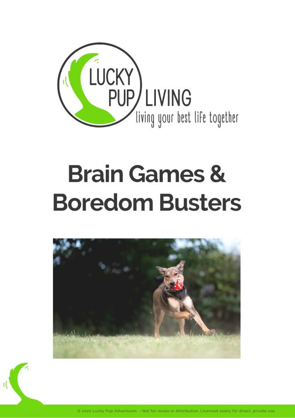 Brain Games & Boredom Busters Cover
